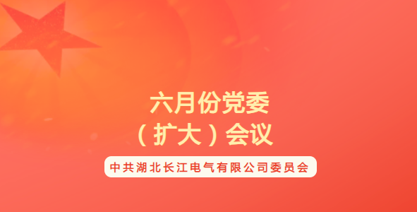 湖北长江电气有限公司召开六月份党委（扩大）会议