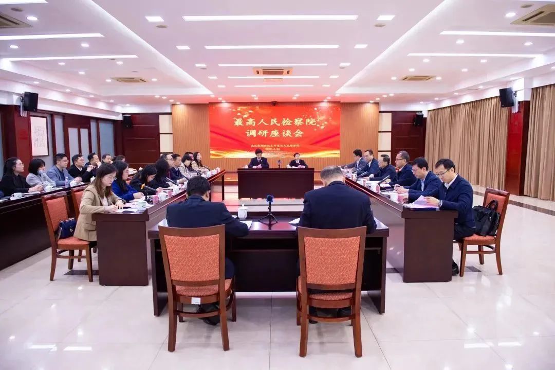 长江电气董事长王新城应邀参加最高人民检察院党组成员、副检察长孙谦调研座谈会